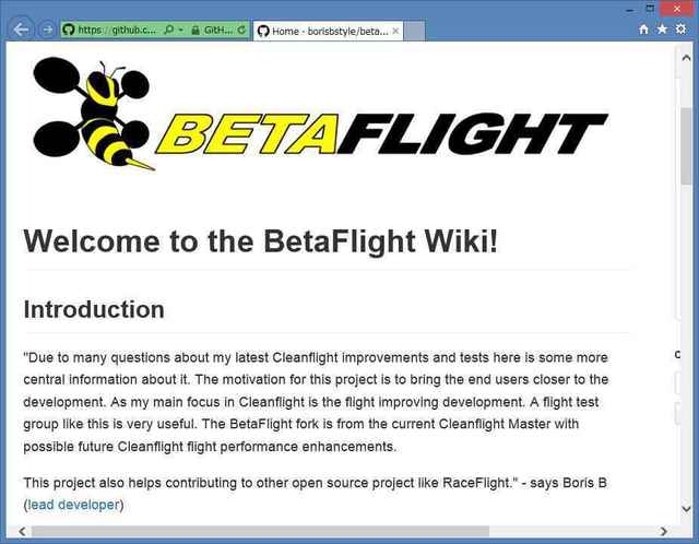 bataflight00.jpg